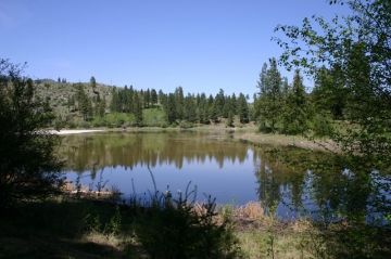 burnell-sawmill-lake 045